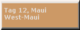Tag 12: West-Maui