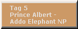 Tag 5: Prince Albert — Addo Elephant NP 