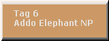 Tag 6: Addo Elephant NP