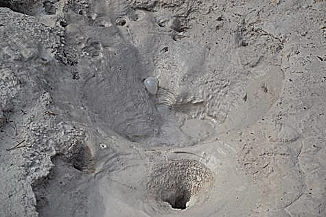 Mud Volcano — Bild 1