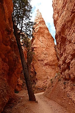 Bryce Canyon — Bild 2